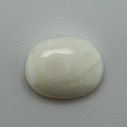 White Coral (Safed Moonga) 5.3 Ct Best Quality